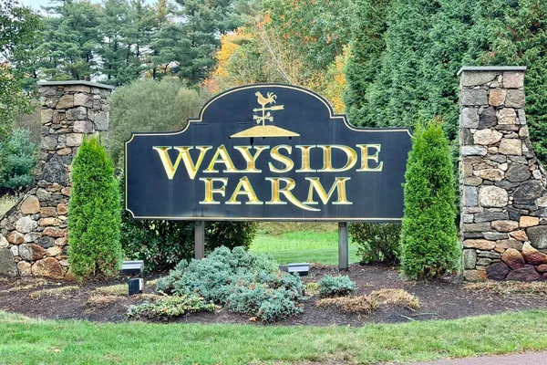 55 SURREY LN 55