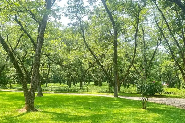 169 SILVER DOLLAR RD