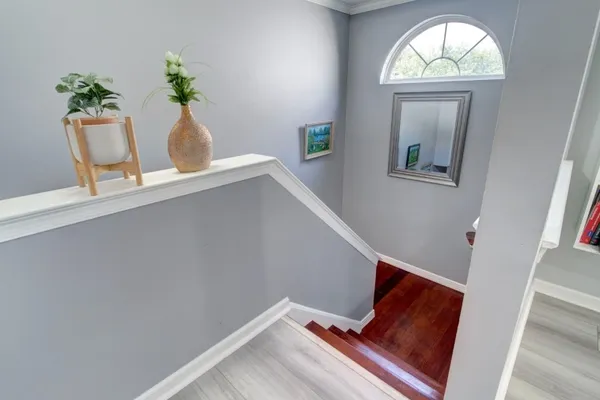 53 SPRINGBROOK RD