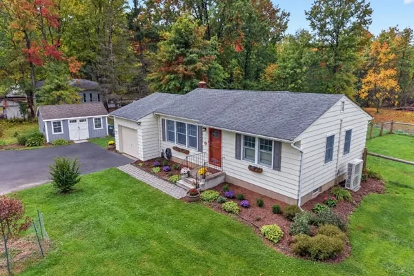 295 COUNTY RD 519