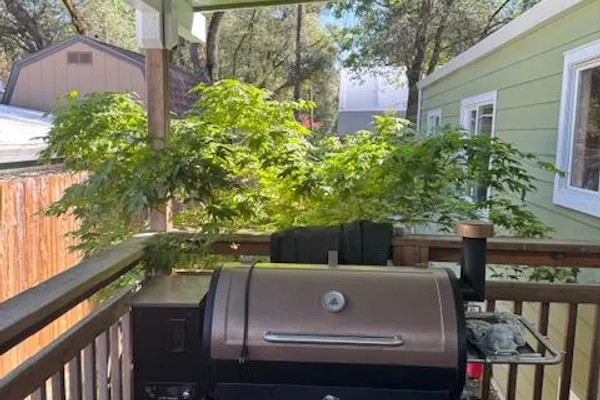 11280 SIERRA CIR 4