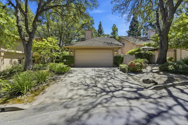 7419 BLACK TREE LN