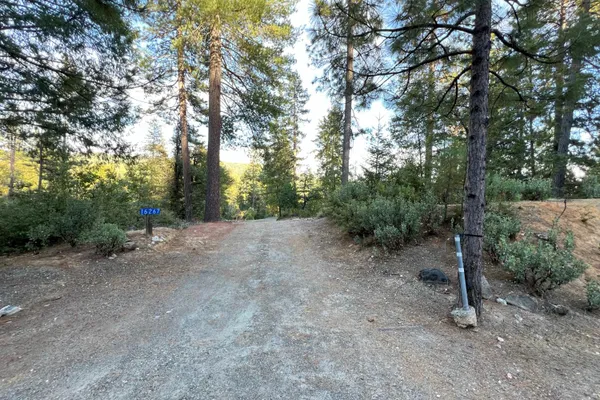 16267 GOLD BUG RD