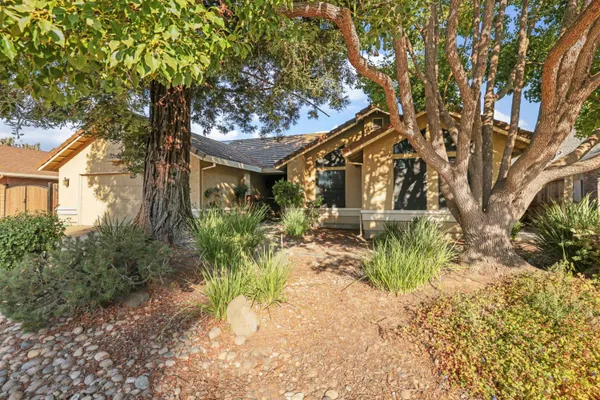 442 EVERGREEN DR