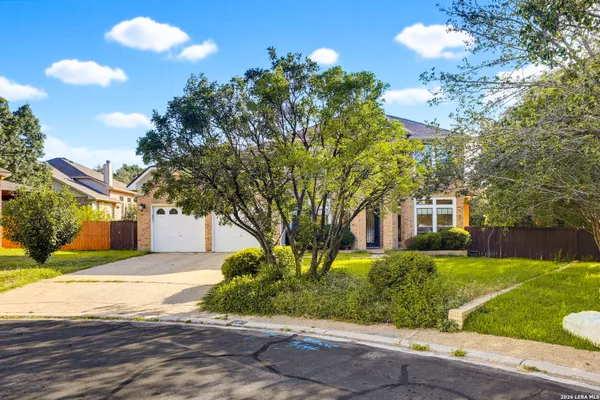 503 ROBLE VIS