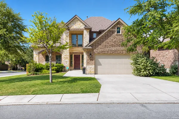 26903 CAMELLIA TRCE