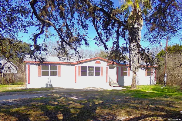 12041 WHITE BIRCH