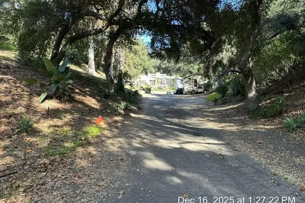 1295 LOMA VIS