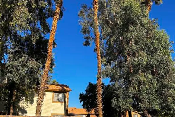 78650 AVENUE 42 1515