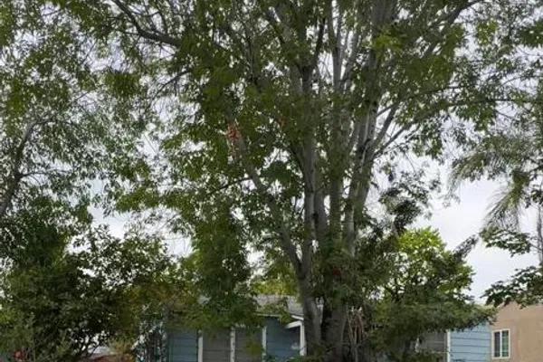 4380 POMONA AVE