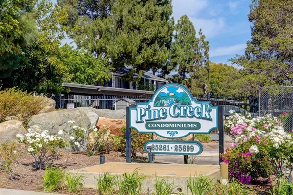 25655 PINE CREEK LN