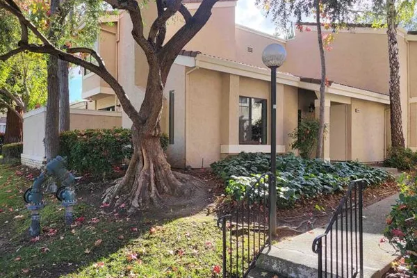 665 PALOMINO DR D
