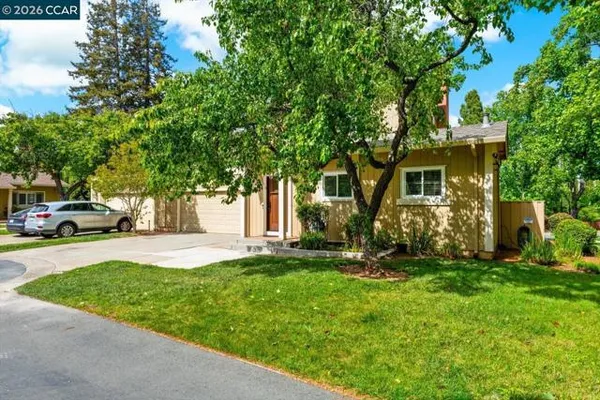 599 MT DELL DR