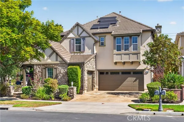54 DESERT WILLOW