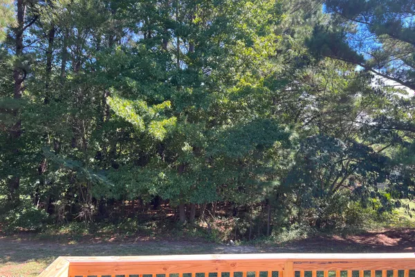 45 BUCK RIDGE RD