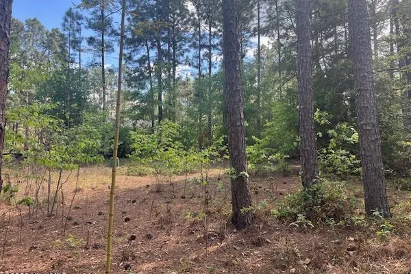 212 SKYLINE MANOR RD