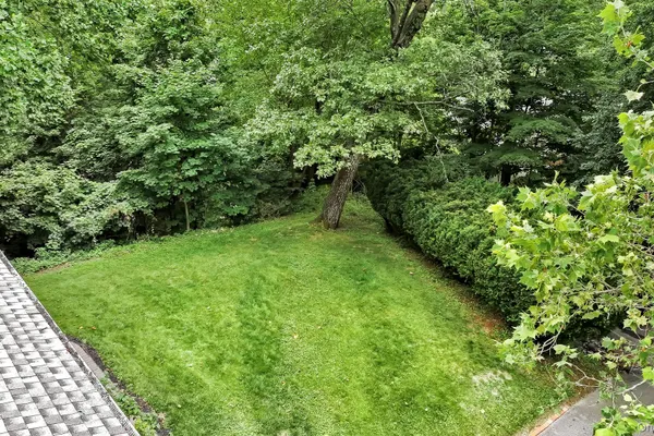 10 WOODYCREST TRL