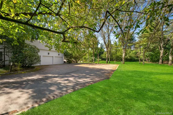 11 SURREY LN