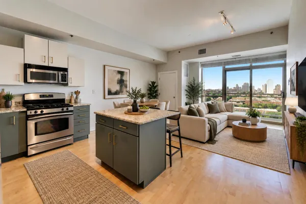 230 W DIVISION ST 1407