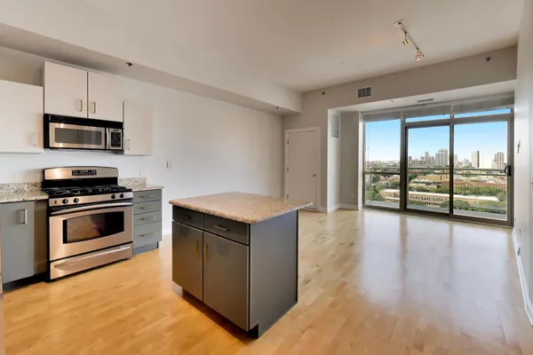 230 W DIVISION ST 1407