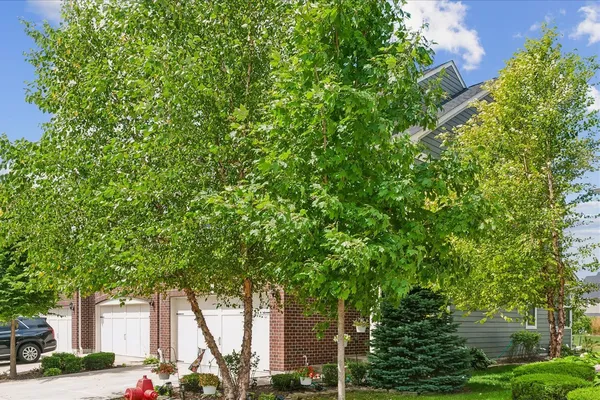 162 WAVERLY CT