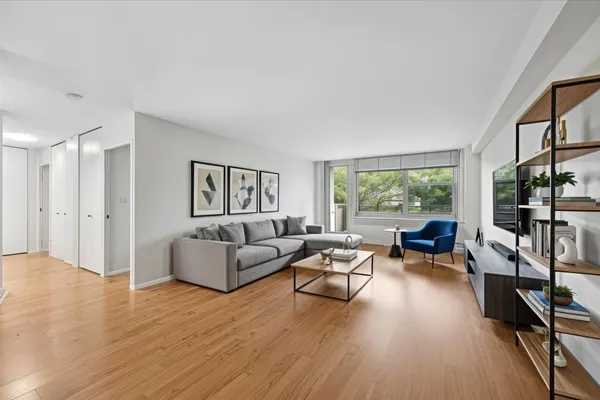 555 W CORNELIA AVE 501