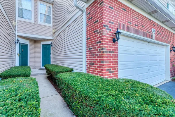 321 GRAPE VINE TRL