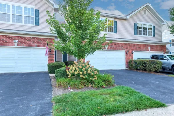 321 GRAPE VINE TRL