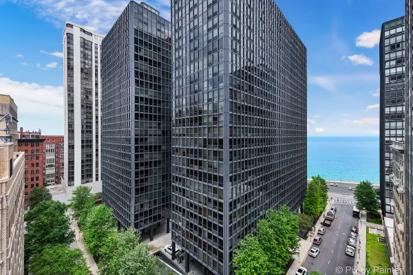 910 N LAKE SHORE DR 1316