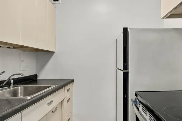 900 N LAKE SHORE DR 1011
