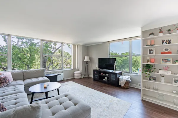 1000 N LAKE SHORE DR 308