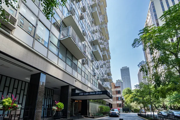 1000 N LAKE SHORE DR 308