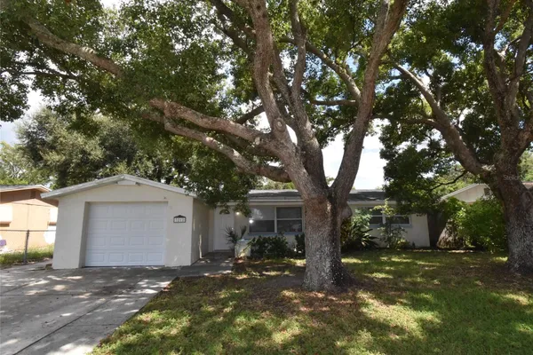 3212 BLUE BIRD DR