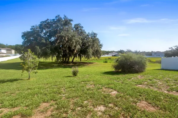 15409 IVORY GULL LN