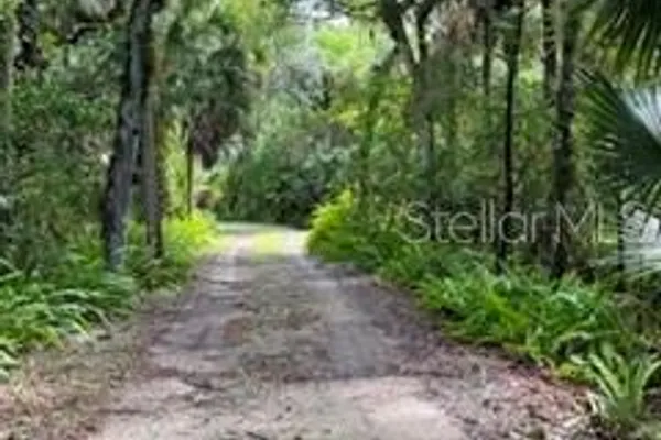2310 SALT CREEK TRL