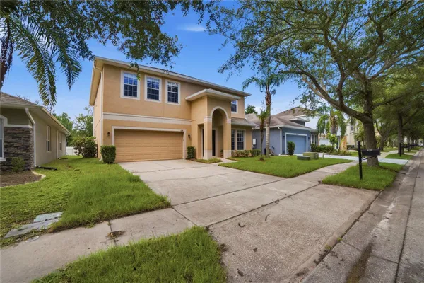 5341 PEPPER BRUSH CV
