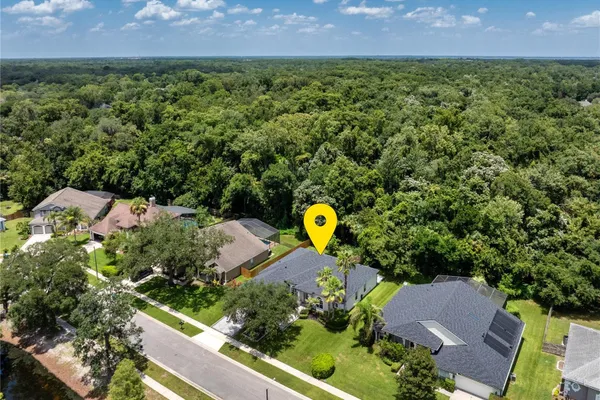 223 BLUE CREEK DR
