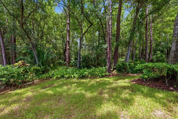14613 MIRABELLE VISTA CIR