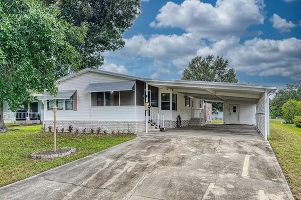 53 TERRA CEIA CT