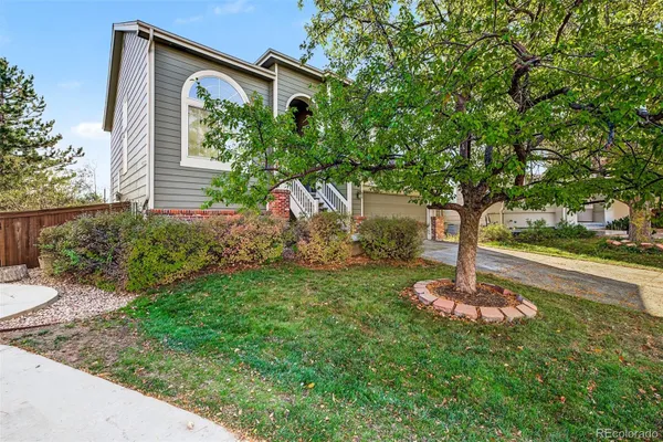 224 WILLOWICK CIR