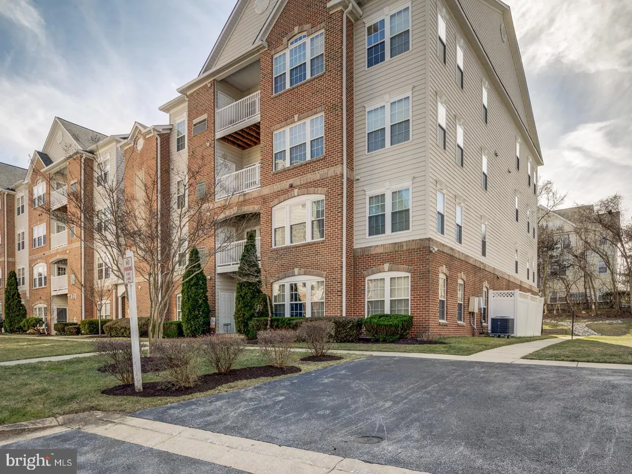 Eden Brook