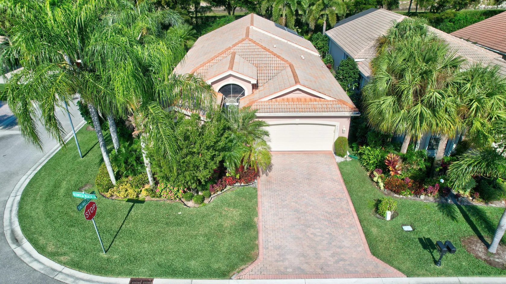 Valencia Palms