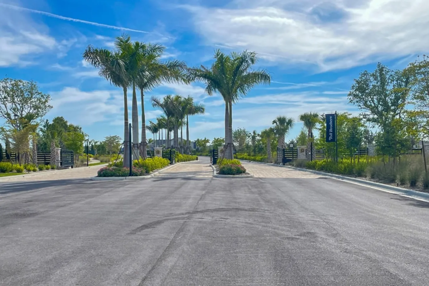 Palms