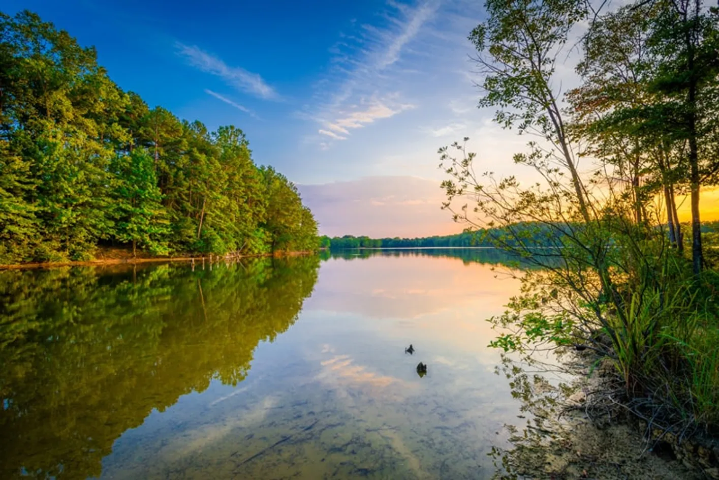 Scenic Pond