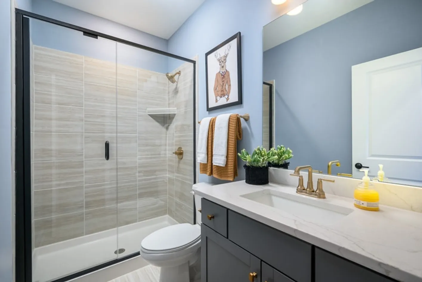 Shower and Vanity