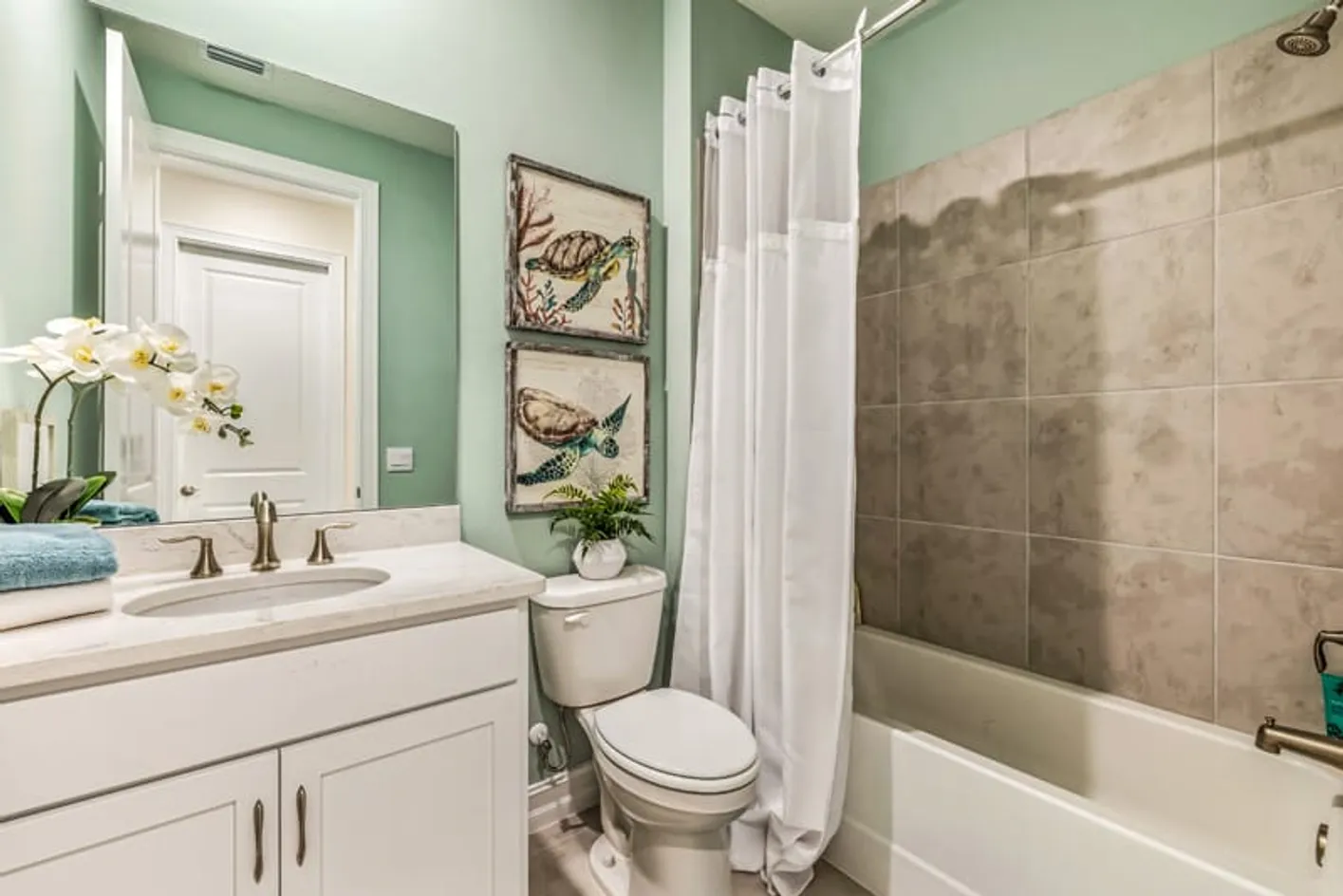 Shower with Tub