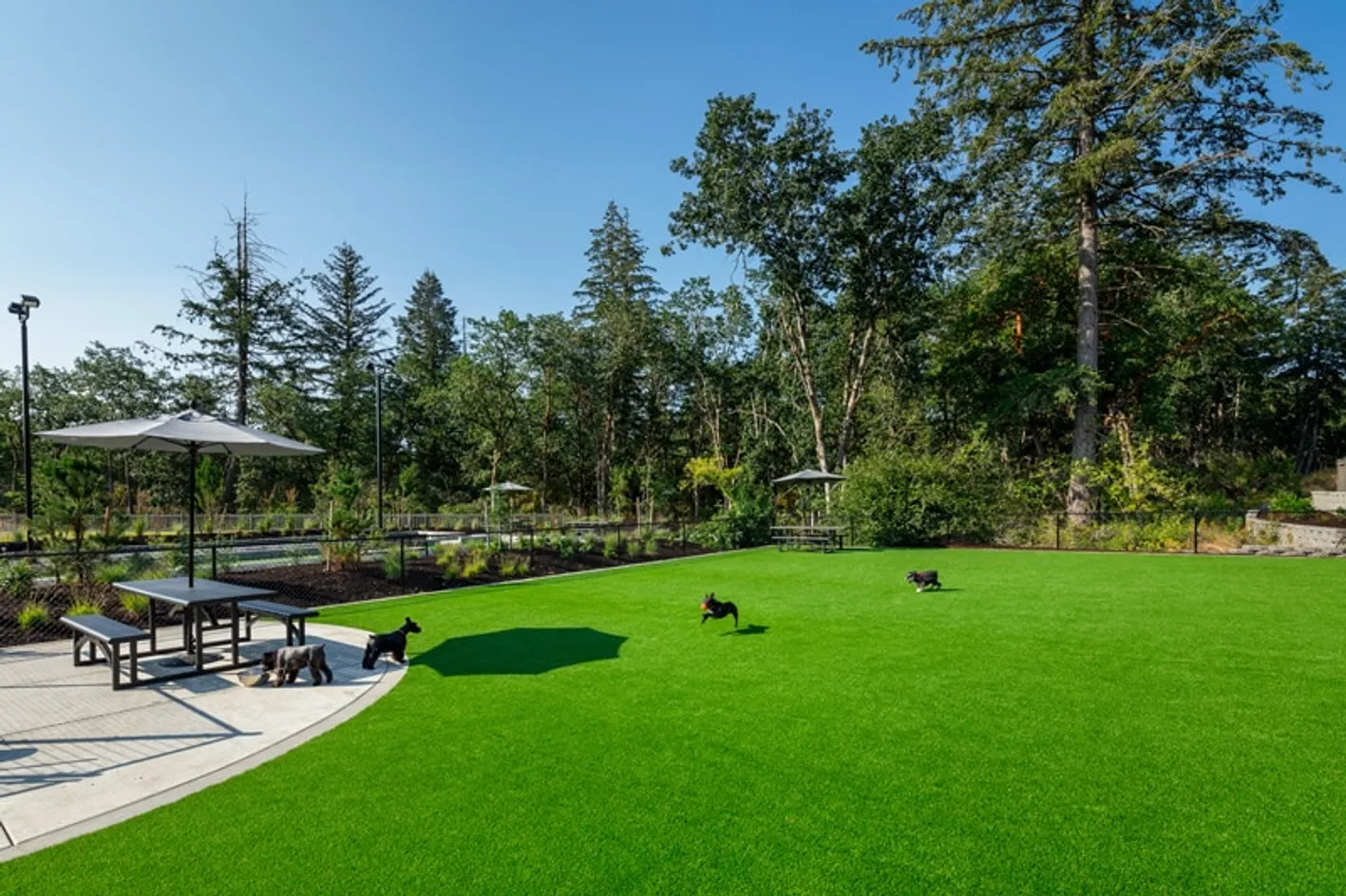 Pet Park