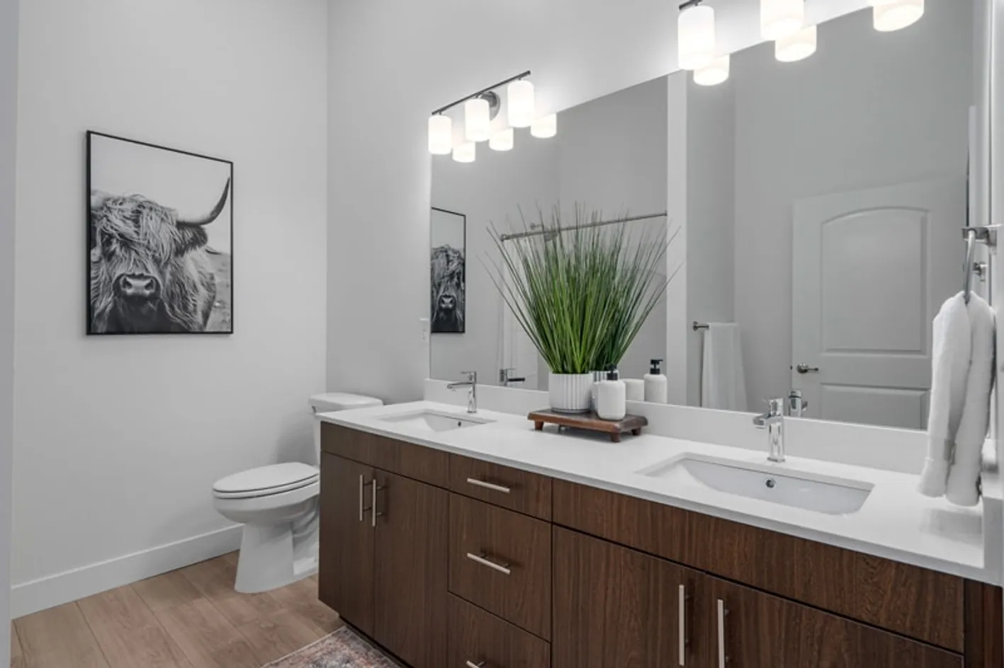Dual Vanities