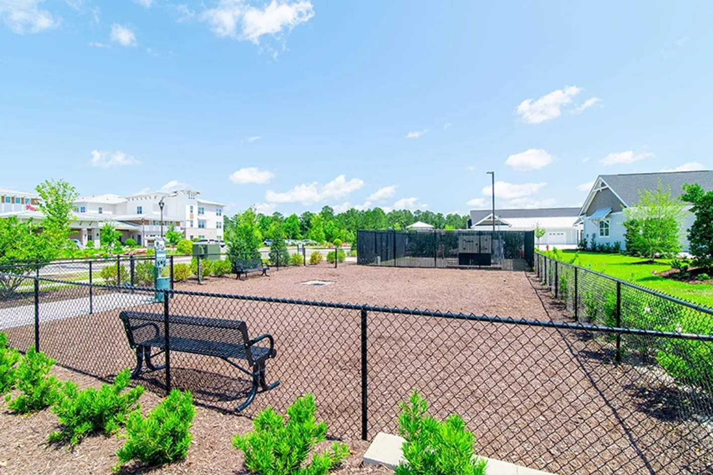 Dog Park