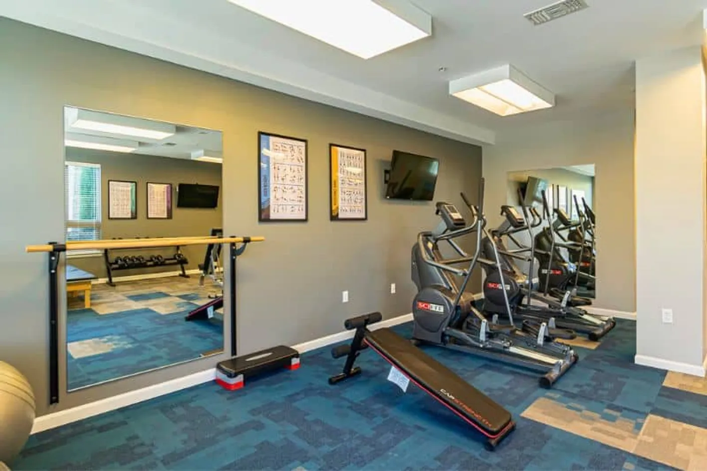Fitness Equipment